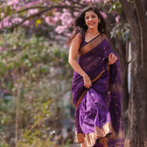 Organza saree